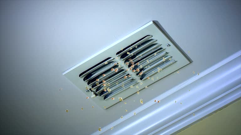 Best Air Duct Cleaning Near Me  in La Presa, CA