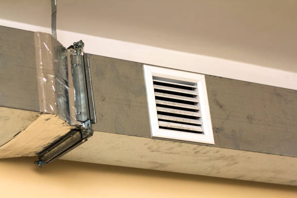 Best Local Air Duct Cleaning Services  in La Presa, CA